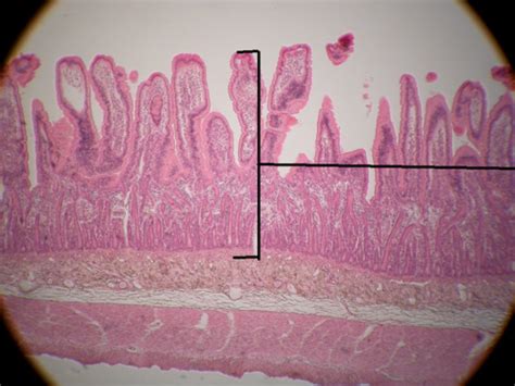 GI Sheet Cross Section View に対する画像結果
