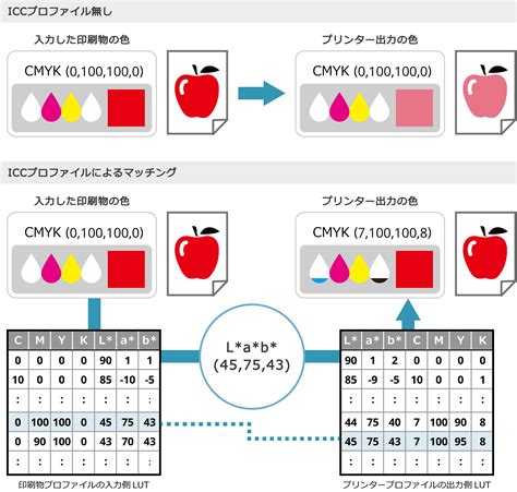 Fine Matching Color に対する画像結果