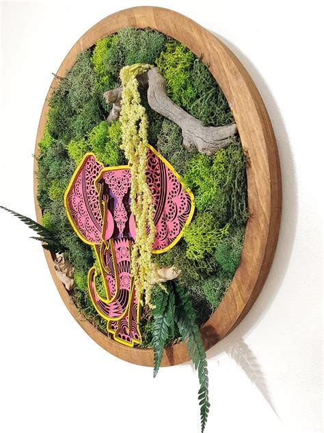 Afbeeldingsresultaten voor Elephant Moss