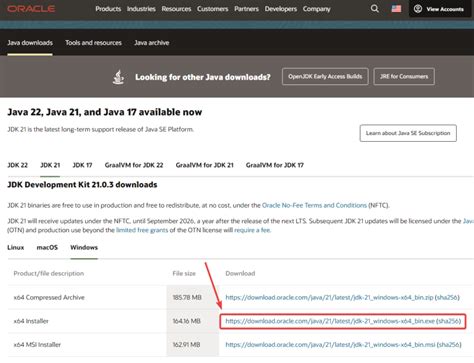 Toradh íomhá ar Java Accept Run