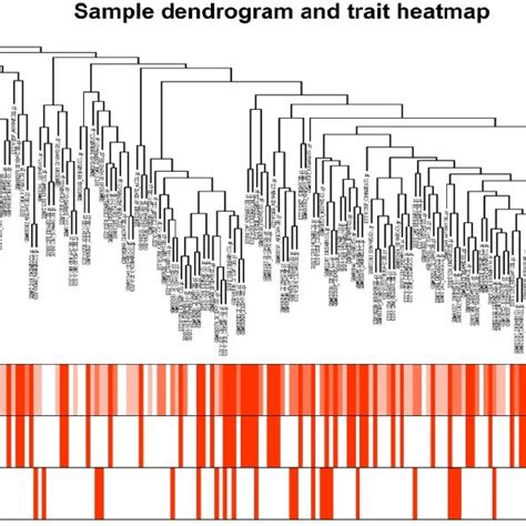 Toradh íomhá ar Simple Dendrogram and Trait Heatmap
