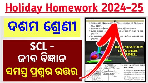 Image result for Class 10th Science Holiday Homework Activity