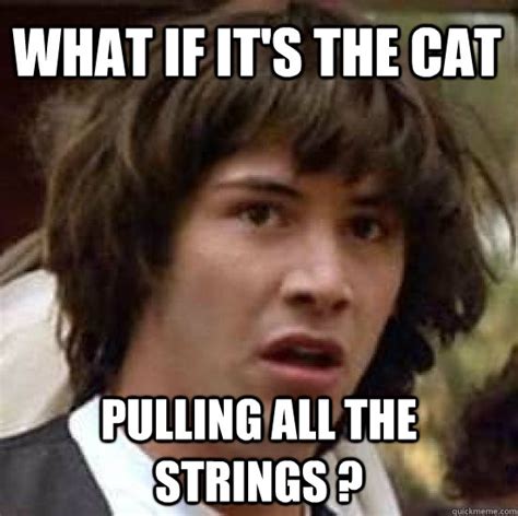 Image result for Cat Catching String Meme
