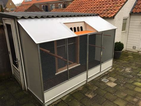 Image result for Build a Simple Pigeon Loft