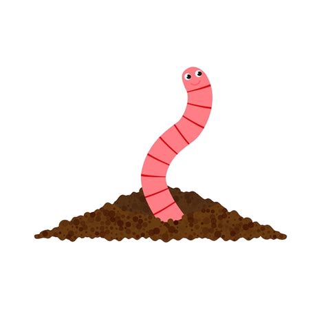 Toradh íomhá ar Animated Earthworm