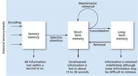 Image result for Memory Processing Model