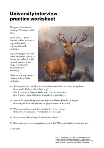 Image result for Interview Worksheet Academic Study