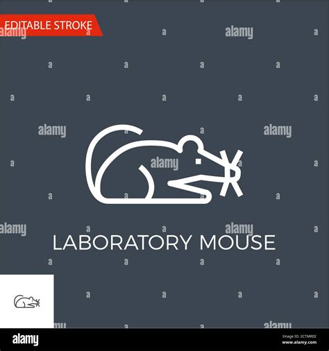 Image result for Vector Image of a Lab Mouse