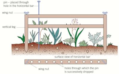 Image result for Point Frame Sampling
