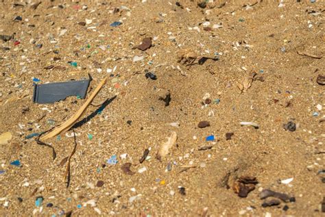 Image result for Microplastic Garbage