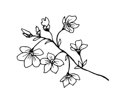 Image result for Hanami in Spring Drawing