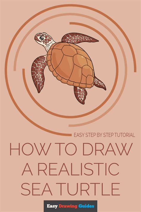 Image result for Real Turtle Drawing