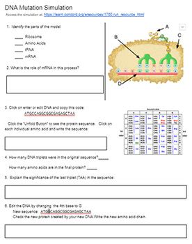 Image result for DNA Mutations Lab Answer Key