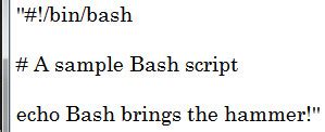 Toradh íomhá ar Simple Bash Script Examples