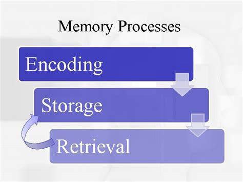 Image result for Encoding Memory