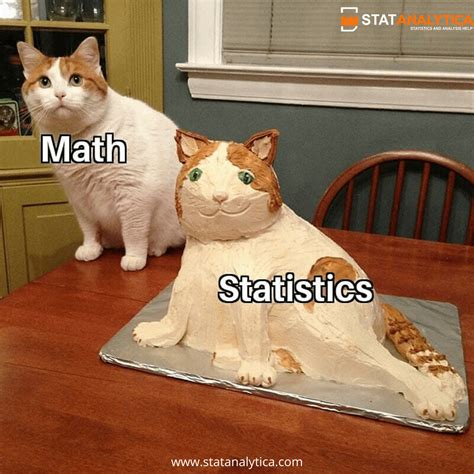 Image result for Statistics Is Machine Learning Meme