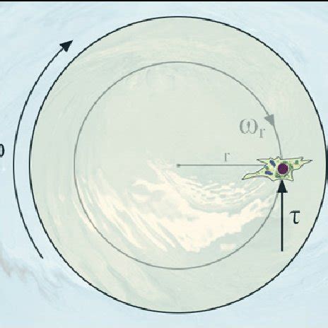 Image result for Rotating Snding Disc