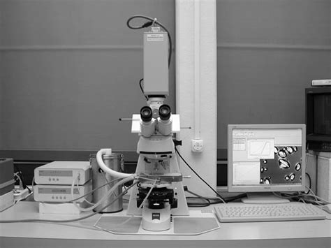 Image result for First Light Microscope