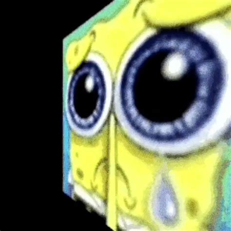 Image result for Spongebob Computer Crying