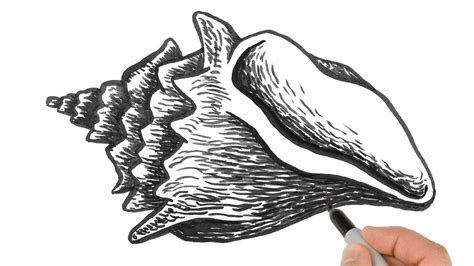 Shell Drawing Kit に対する画像結果