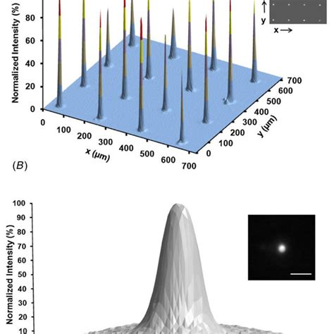 Double Face Microlens Array に対する画像結果