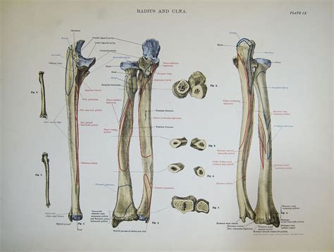 Image result for Radius Tool Bit