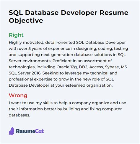 Toradh íomhá ar SQL Developer Job Resume