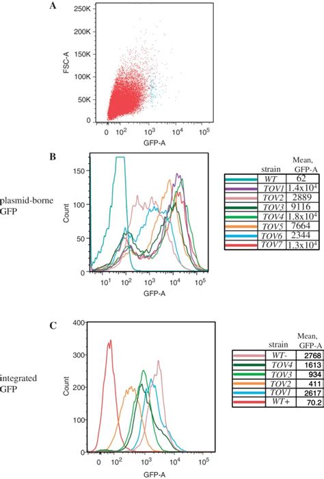 Afbeeldingsresultaten voor GFP Scatter Plot Flow Cytometry