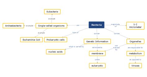 Toradh íomhá ar Concept Map Example C-Map