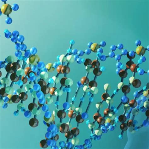 Image result for What Is Chromosomal Microarray Analysis