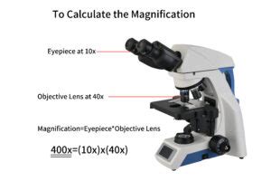Total Magnification of Microscope に対する画像結果