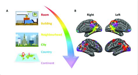 Spatial Savant Example に対する画像結果