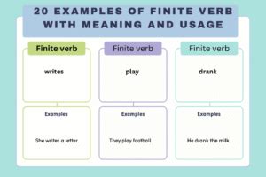 Image result for Finite Verb Examples