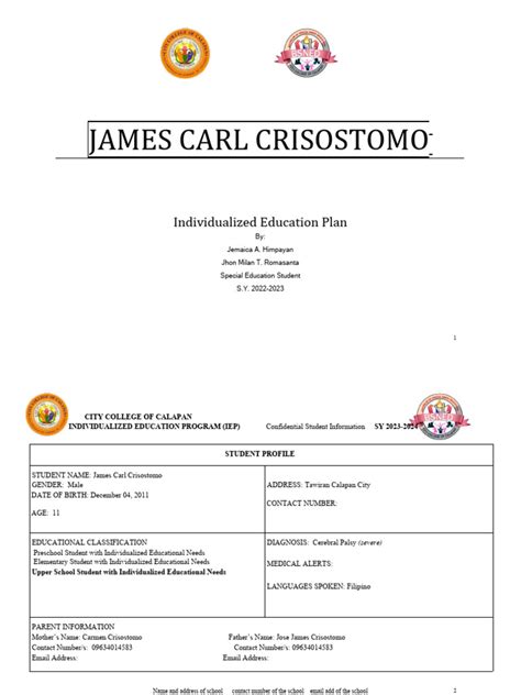 Image result for IEP Plan Expample