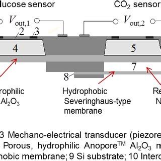 Image result for Hydrogel Sensor Array