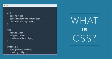 CSS Programming Is What に対する画像結果