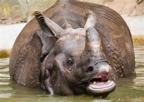 Rhino Architecture Rendering に対する画像結果