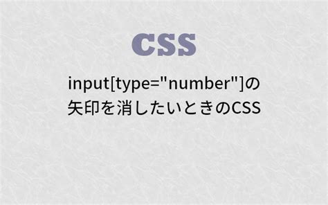 Image result for HTML Number Input Style