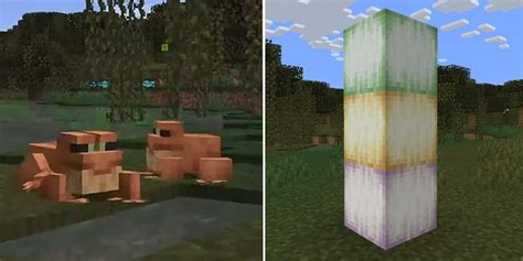 Image result for Minecraft Frog Types