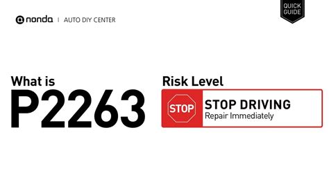 Code Defaut P2263 に対する画像結果