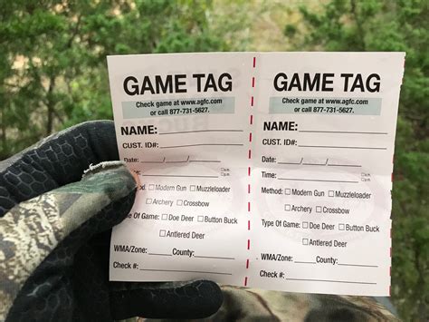 Image result for Plan Paper Hunting License Tags