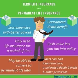 Image result for Term vs Perm Life Insurance