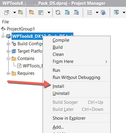 Image result for Delphi Installation