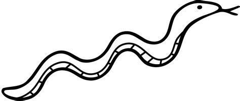 Image result for Python Snake Outline