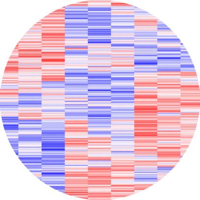 Image result for Transcriptomics PNG
