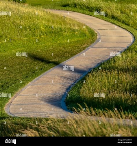 Image result for Square Background Pathway