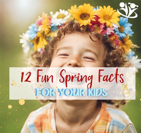 Image result for What Is Spring for Kids
