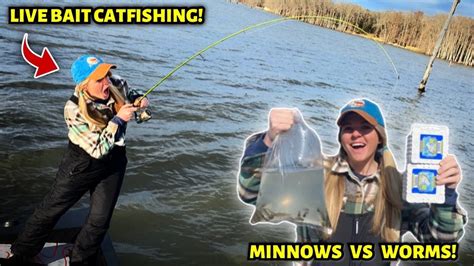 Image result for How to Use Minnows for Catfish Bait