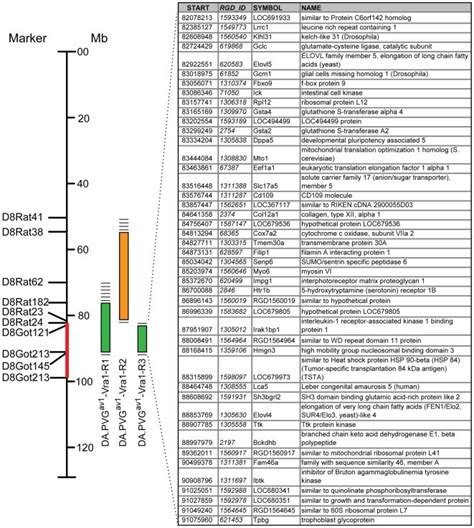 Protein Coding Genes Elements に対する画像結果