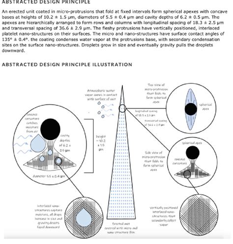 Image result for Abstracted Design Principle